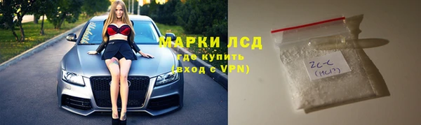 ПСИЛОЦИБИНОВЫЕ ГРИБЫ Строитель