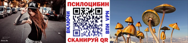 Галлюциногенные грибы Psilocybe  кракен зеркало  shop наркотические препараты  цена   Судак 