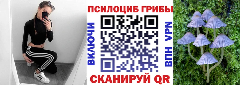 Псилоцибиновые грибы Magic Shrooms Судак